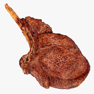 Tomahawk Rib Eye Steak 3D Model