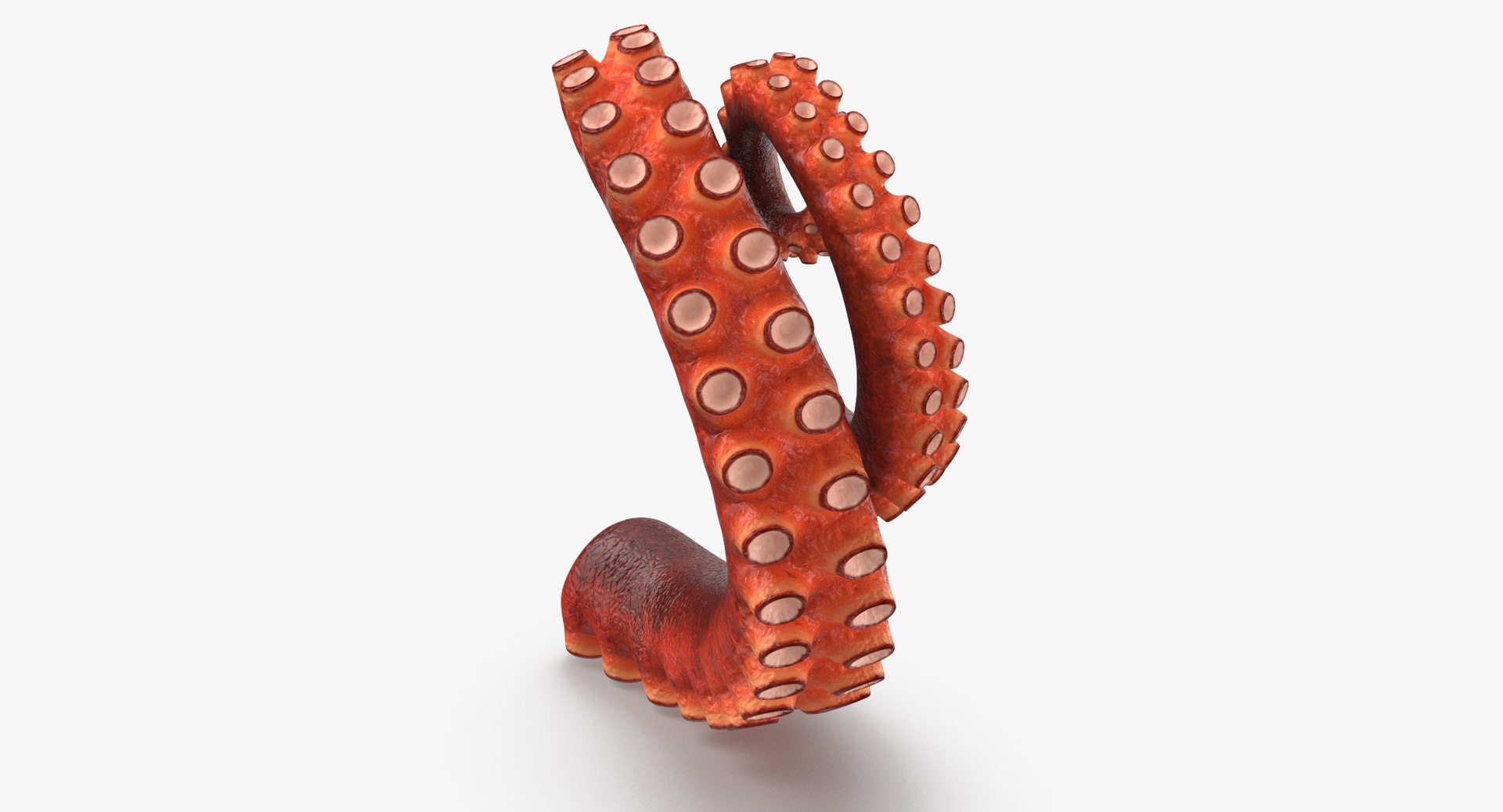 3d Max Octopus Tentacle 04