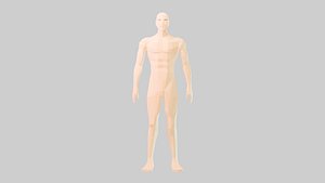 Body LowPoly