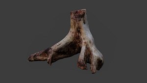Photoscanned Trunk