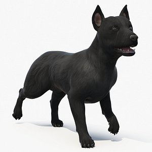 Mongrel Dog Dark Rigged 3D