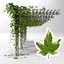 Pérgola con hedera helix goldchild ivy