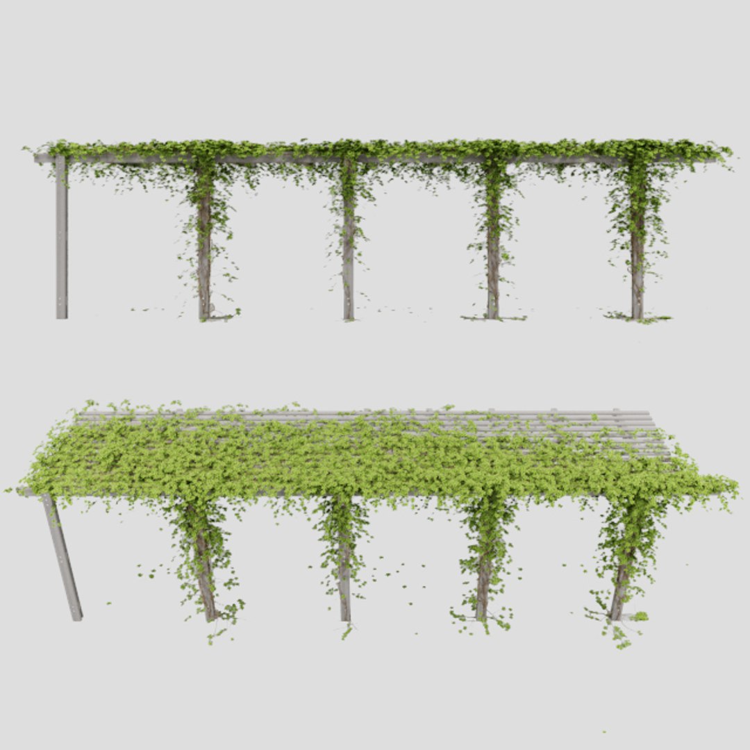pergola hedera helix goldchild 3D model https://p.turbosquid.com/ts-thumb/7d/fbl4RV/uXfABAbc/01/jpg/1571370126/1920x1080/fit_q87/d23ffb2d7977b25e1bfd5e8a69dcdd3010a3a287/01.jpg