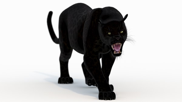 Pantera Negra (Animado) Modelo 3D - TurboSquid 931548
