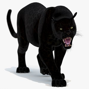 3d black panther animation