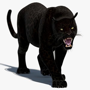 3d black panther animation
