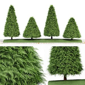 Cone shaped green coniferous - Buxus trees-vray max model