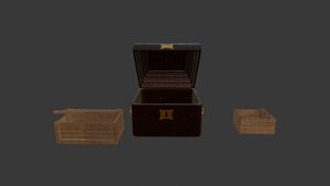 3D chest model