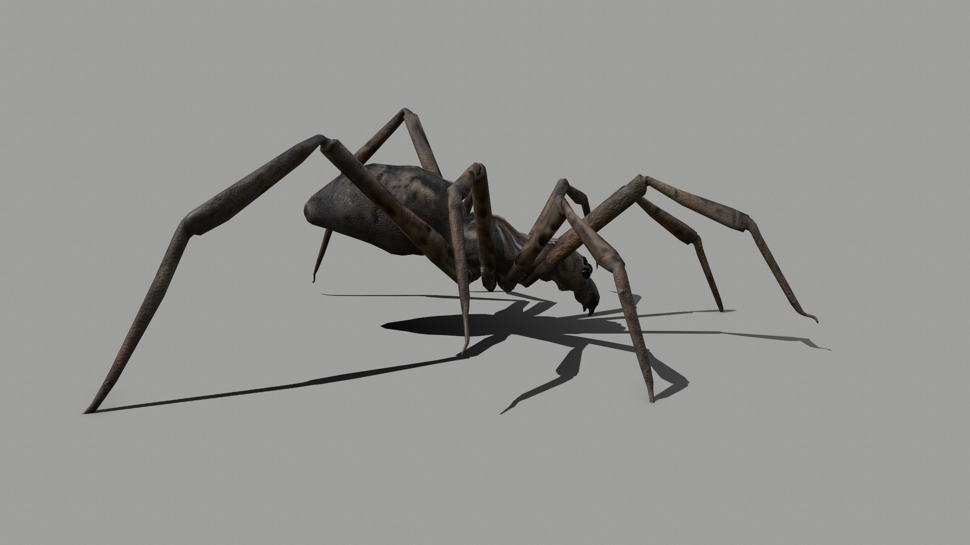 3D Spider - TurboSquid 2347886