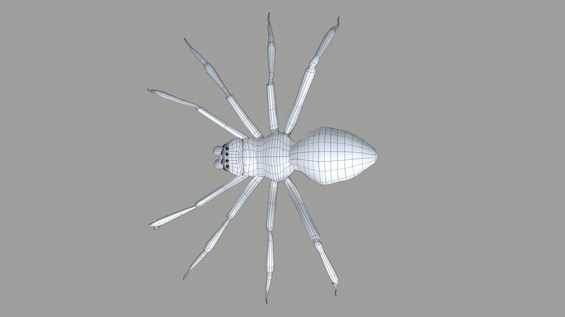 3D Spider - TurboSquid 2347886