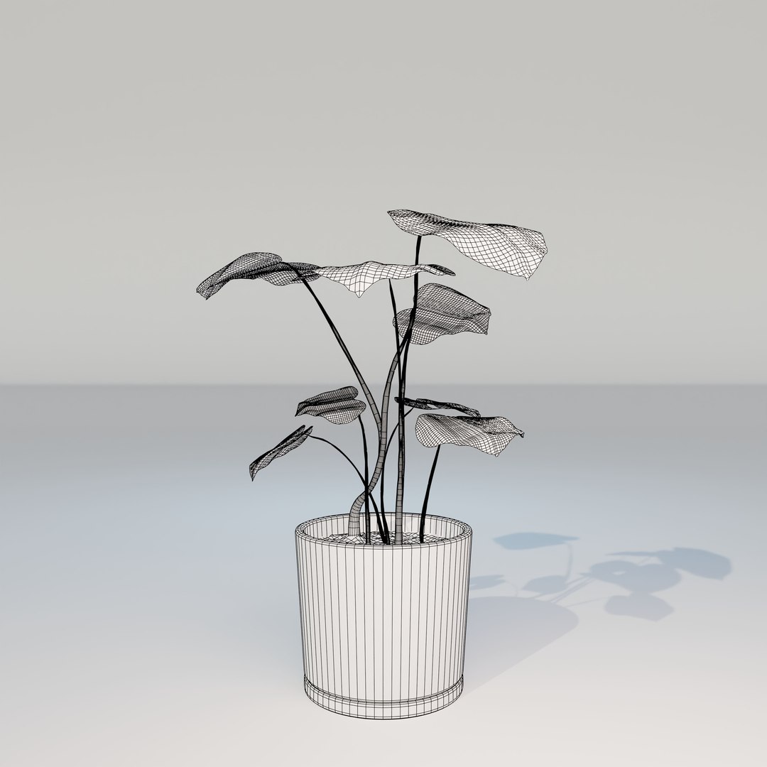 green natural 3D model https://p.turbosquid.com/ts-thumb/7d/uymy3Y/Cjzw1SHx/monstera_small_hp_07/jpg/1602937000/1920x1080/fit_q87/4b8b68c1d35ae59bfc2e847620f4b9542bf07466/monstera_small_hp_07.jpg