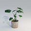 Monstera House Plant High Poly