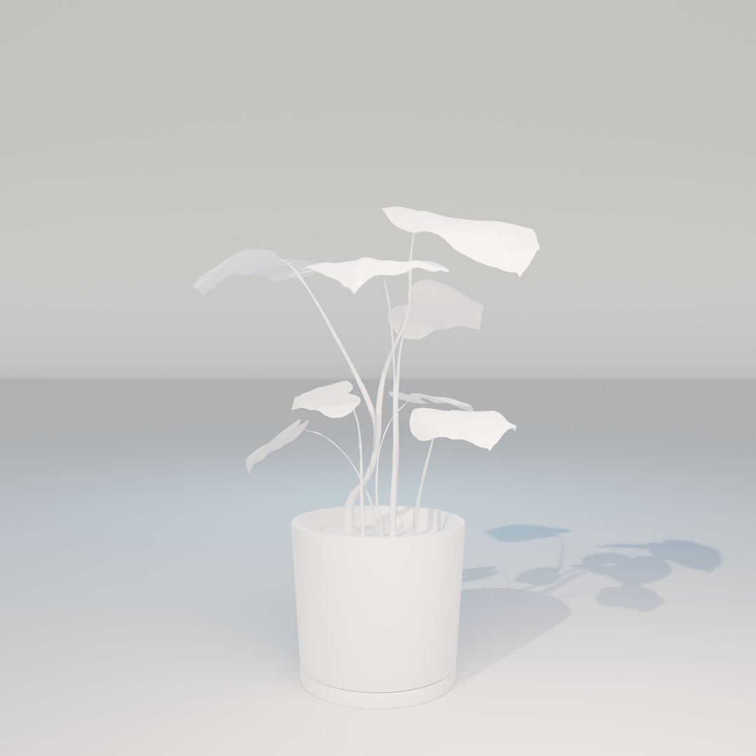 green natural 3D model https://p.turbosquid.com/ts-thumb/7d/uymy3Y/xsj7gWSv/monstera_small_hp_06/jpg/1602936967/1920x1080/fit_q87/9ecbb4f8082c1a558d8db0d1ed7d9fd14bbf92b5/monstera_small_hp_06.jpg