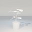 Monstera House Plant High Poly