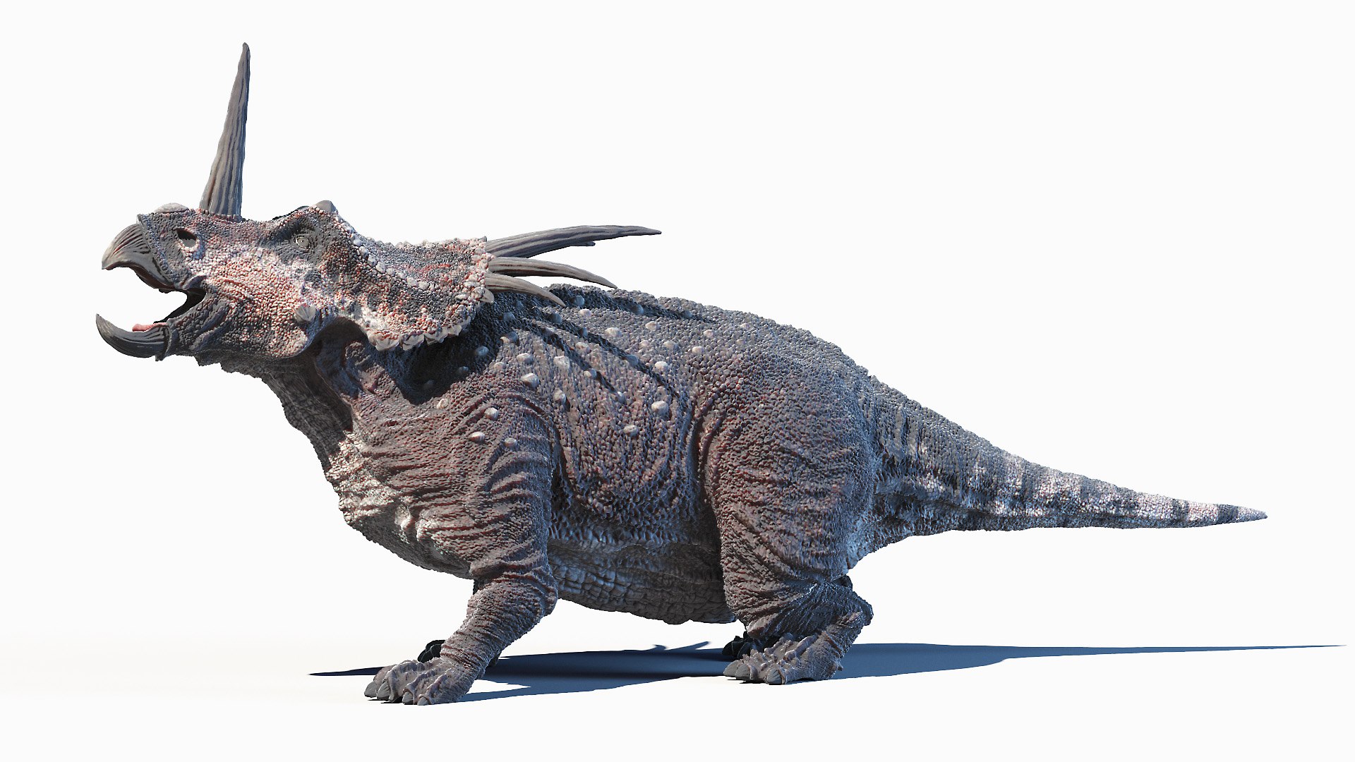 Styracosaurus - 3D Model Animated - PixelBoom