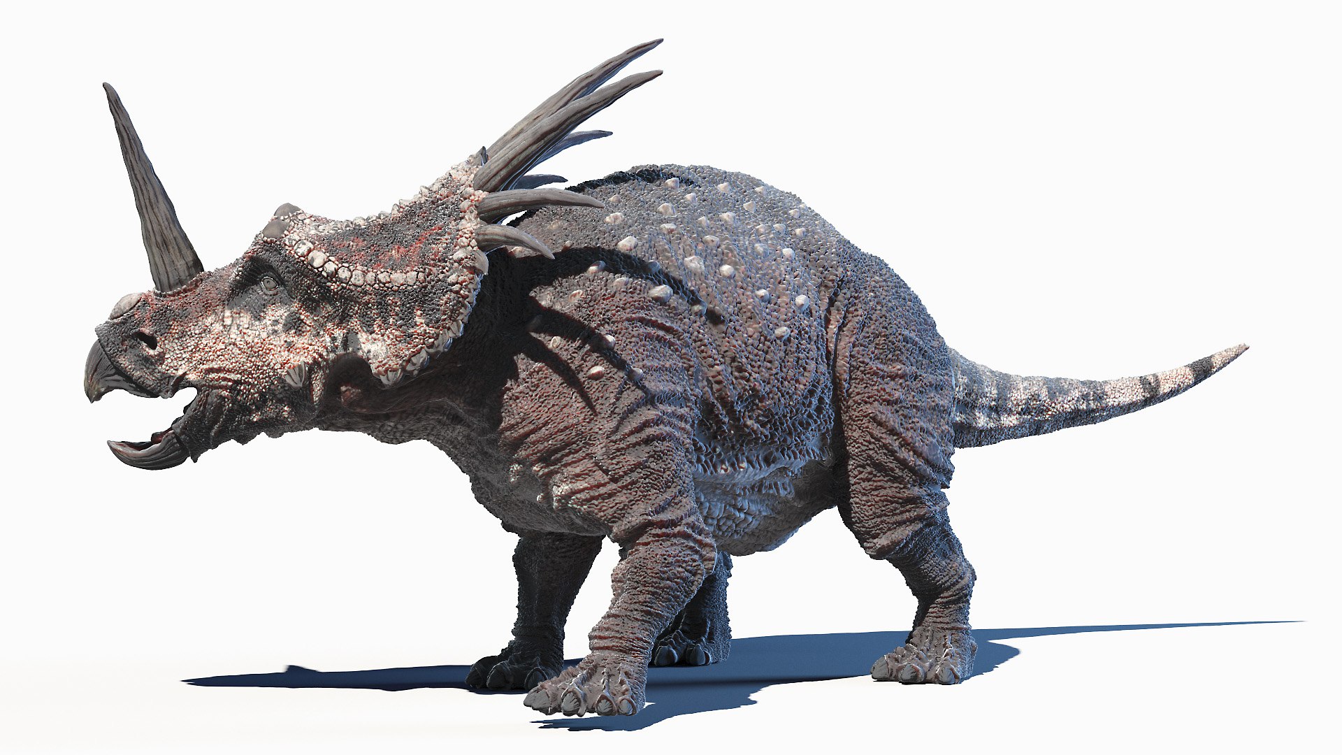 Styracosaurus - 3D Model Animated - PixelBoom