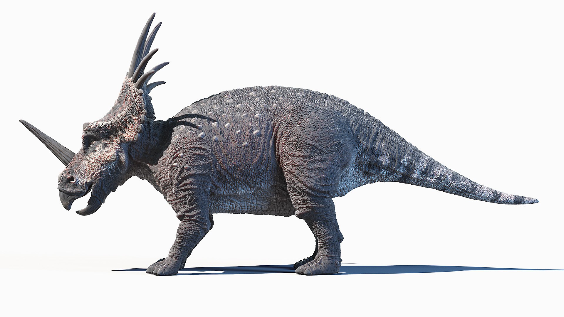 Styracosaurus - 3D Model Animated - PixelBoom