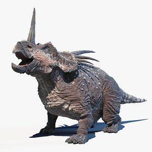 styracosaurus 3D model
