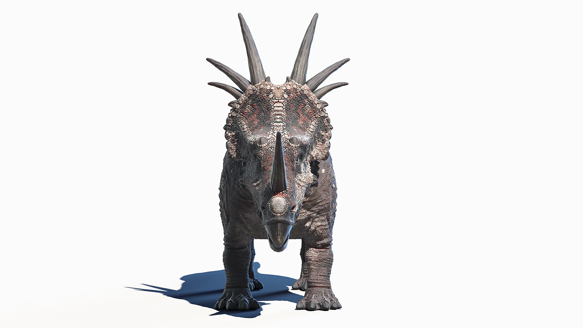 Styracosaurus - 3D Model Animated - PixelBoom