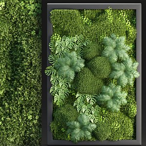 3D model Vertical moss garden vol 186
