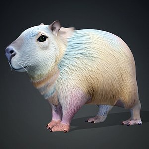 3D Capybara-A4