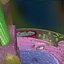 3d model animal cell
