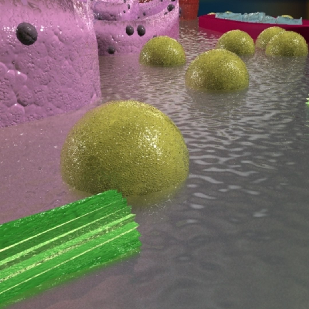 3d model animal cell https://p.turbosquid.com/ts-thumb/7e/4TNOYQ/z677fSa7/cell08/jpg/1265565686/1920x1080/fit_q87/6f241396615c20faa86c2ddac2a52518b10c5325/cell08.jpg