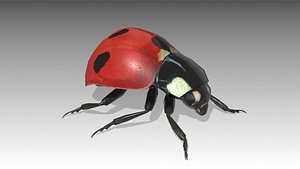 ladybug animations 3D model