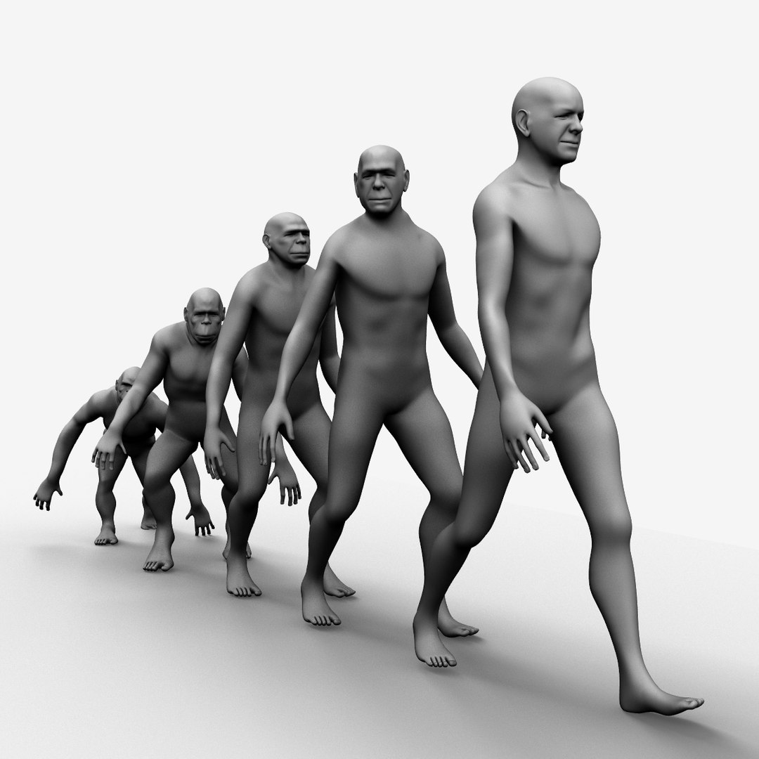evolution ape 3d obj https://p.turbosquid.com/ts-thumb/7e/DpQNyl/0y9fkvjL/darwinsmonkeys03/png/1433259176/1920x1080/fit_q87/35a9468ac151761269a8aad280b7ab1ae8977cb6/darwinsmonkeys03.jpg