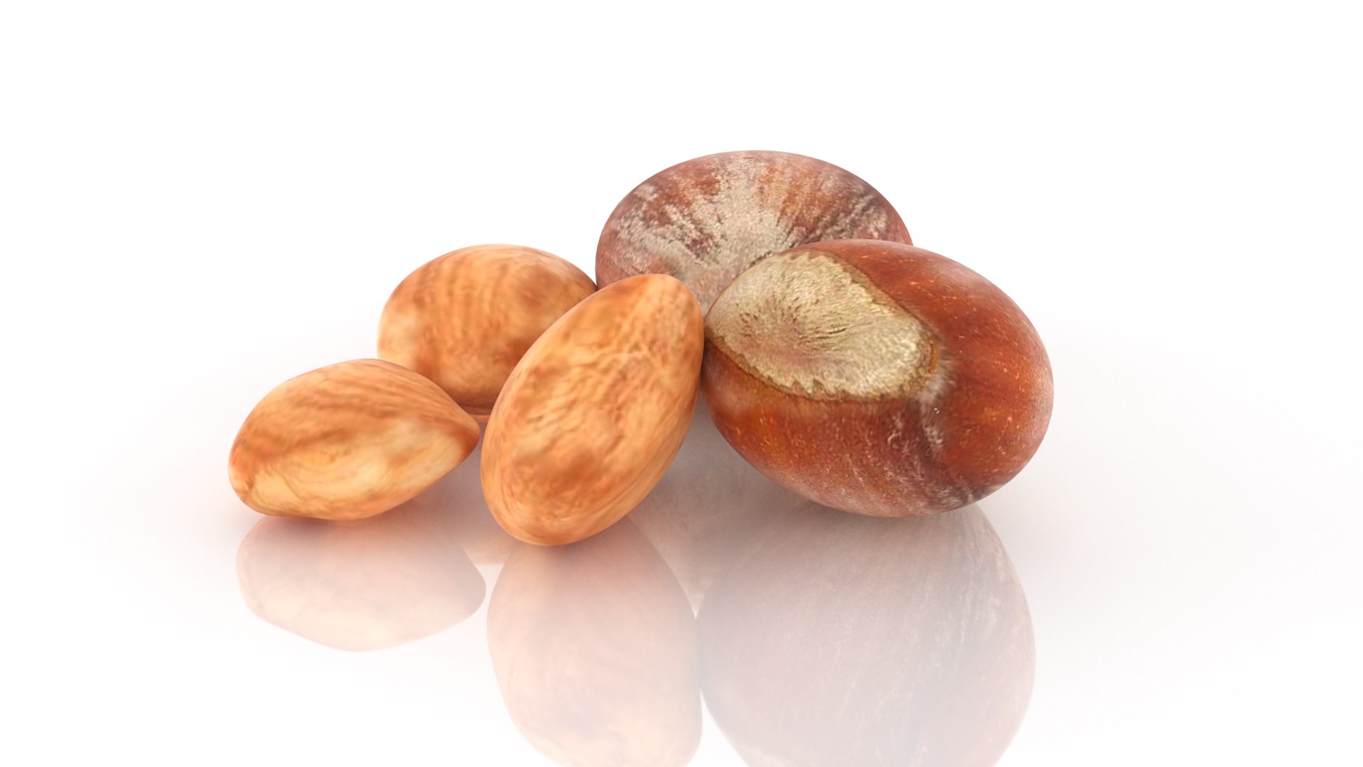 nut hazelnut hazel model https://p.turbosquid.com/ts-thumb/7e/FamzyC/VG/4/png/1654959926/1920x1080/fit_q87/0516d2f4b1d69743b395308e90fd2259cfc3f21e/4.jpg