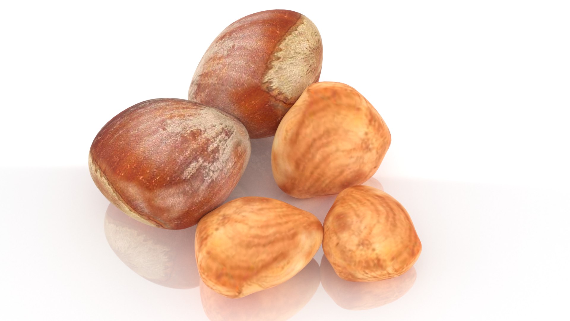 nut hazelnut hazel model https://p.turbosquid.com/ts-thumb/7e/FamzyC/jK/3/png/1654959905/1920x1080/fit_q87/481bd32aff6c41fa3b30972073d6a91f722e17d2/3.jpg