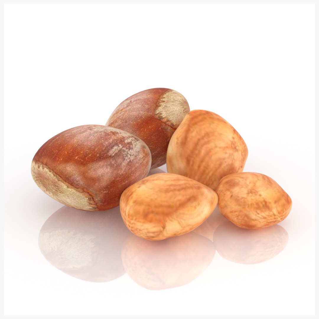 nut hazelnut hazel model https://p.turbosquid.com/ts-thumb/7e/FamzyC/rp/0/png/1654959903/1920x1080/fit_q87/c86375ee9c60e51f8c1fb0b23c06be3b6fb057e9/0.jpg
