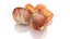 Hazelnut nut advertising decor