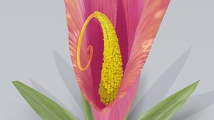 3D model Fantasy Flower Plant