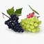 3d c4d realistic grapes fruit real