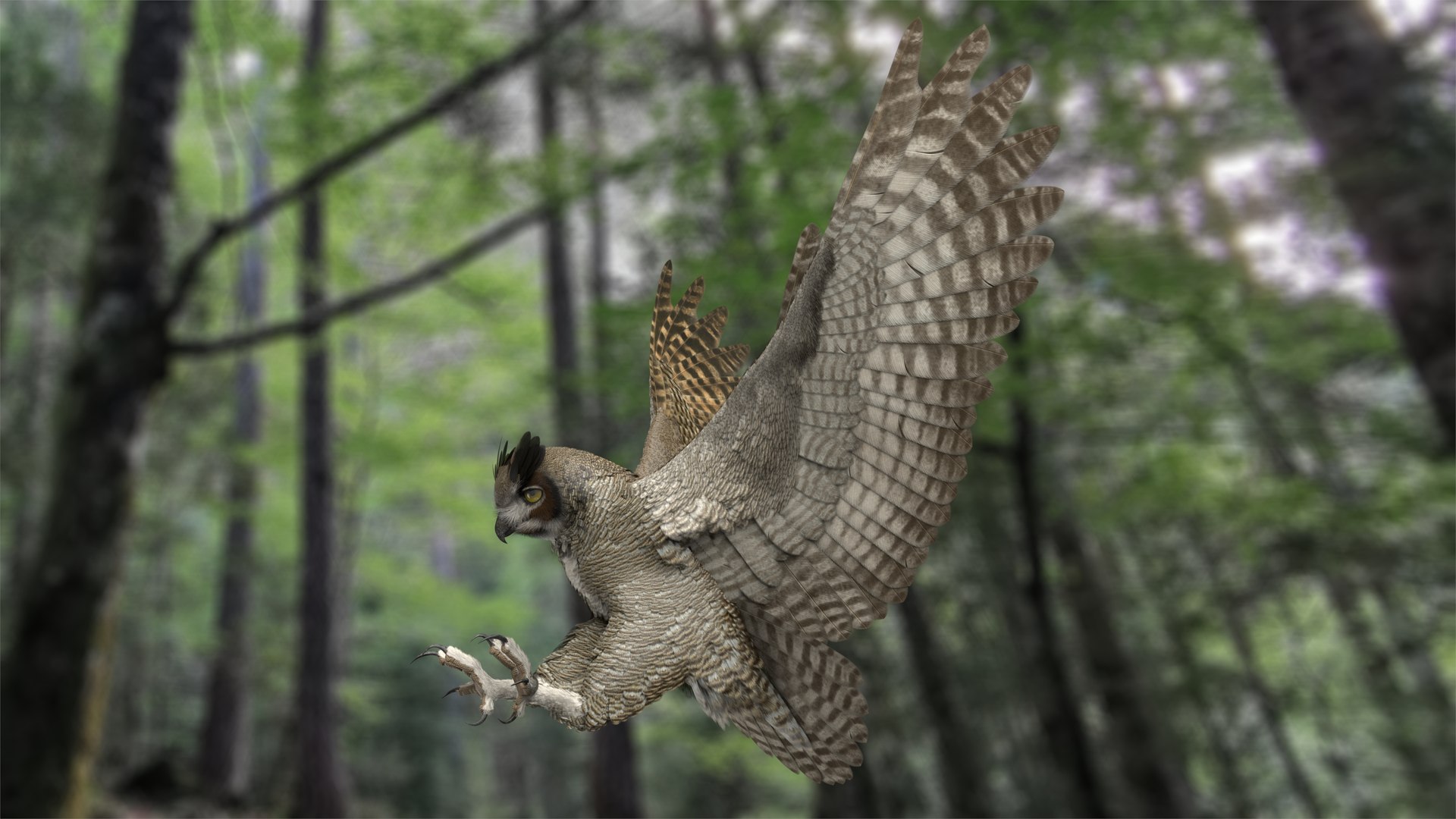 rigged great horned owl 3D https://p.turbosquid.com/ts-thumb/7e/kd1x3j/UkK3PPgf/r02n/jpg/1576296576/1920x1080/fit_q87/f4f29ab1edbef4cb93e0610b3b78bbc3c77dfd2a/r02n.jpg