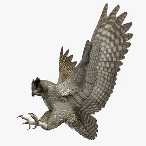 Great Horned Owl Rigged