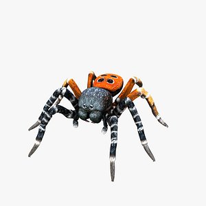 Ladybird Spider Male 3D model
