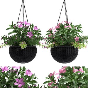 hanging basket flowered plants max