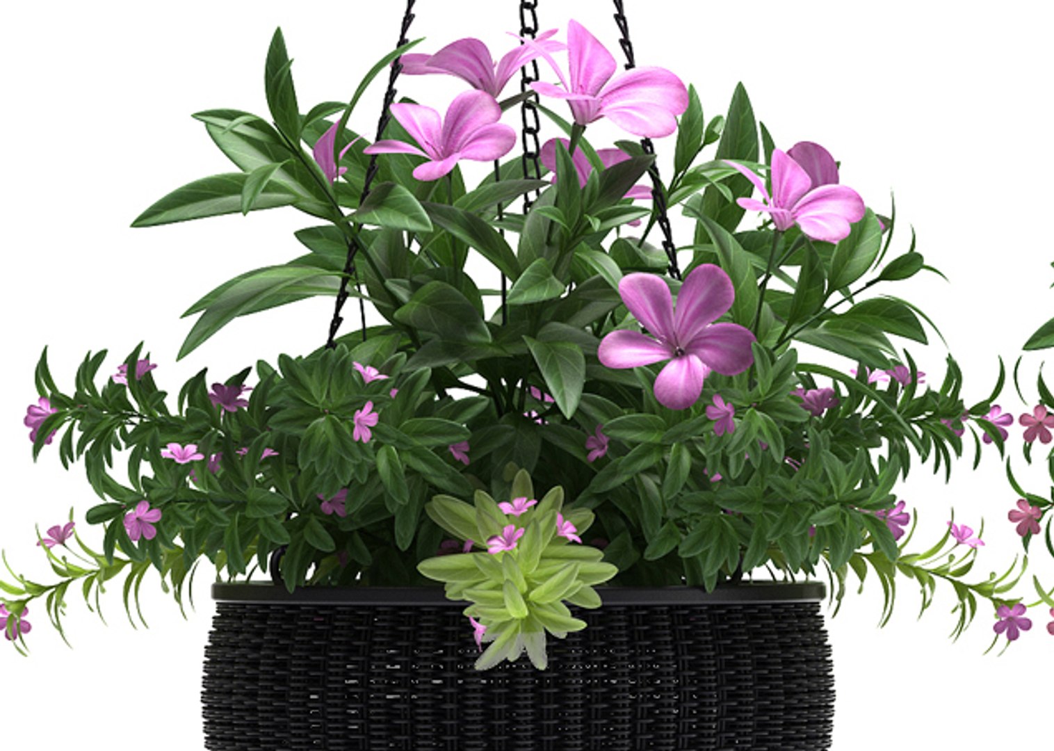 hanging basket flowered plants max https://p.turbosquid.com/ts-thumb/7e/syc3Z8/EDueApeZ/4/jpg/1466697074/1920x1080/fit_q87/f35dff59bf6181c786d39eab687870ab5043bc9d/4.jpg