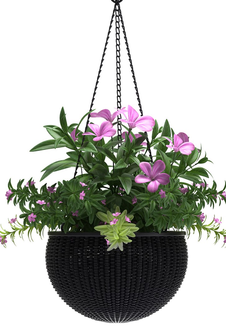 hanging basket flowered plants max https://p.turbosquid.com/ts-thumb/7e/syc3Z8/jjGndqqm/3/jpg/1466697074/1920x1080/fit_q87/28555ff3dda9a8c47c56ffab93b383082a903505/3.jpg
