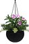 Plant Hanging Basket