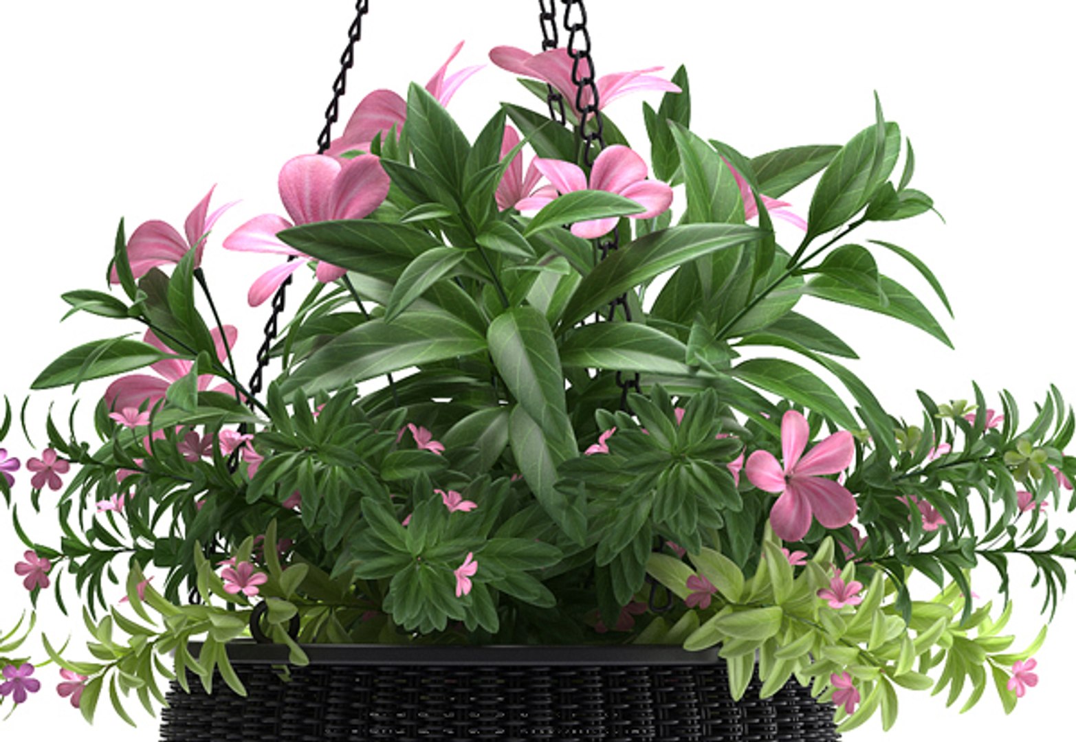 hanging basket flowered plants max https://p.turbosquid.com/ts-thumb/7e/syc3Z8/klLNToTi/5/jpg/1466697074/1920x1080/fit_q87/9c3b817e27c2899b0ed56fa5f59df29c77e1f015/5.jpg
