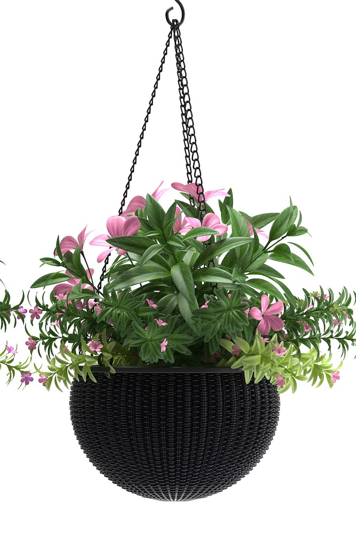 hanging basket flowered plants max https://p.turbosquid.com/ts-thumb/7e/syc3Z8/rHngytMI/2/jpg/1466697074/1920x1080/fit_q87/7047b6f8bf52890fa3638501e00c152e4ecc59d8/2.jpg