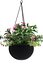 Plant Hanging Basket