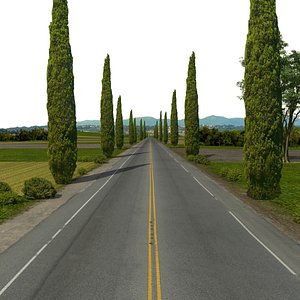 3D Road 2