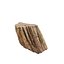 Petrified Wood 3