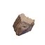 Petrified Wood 3