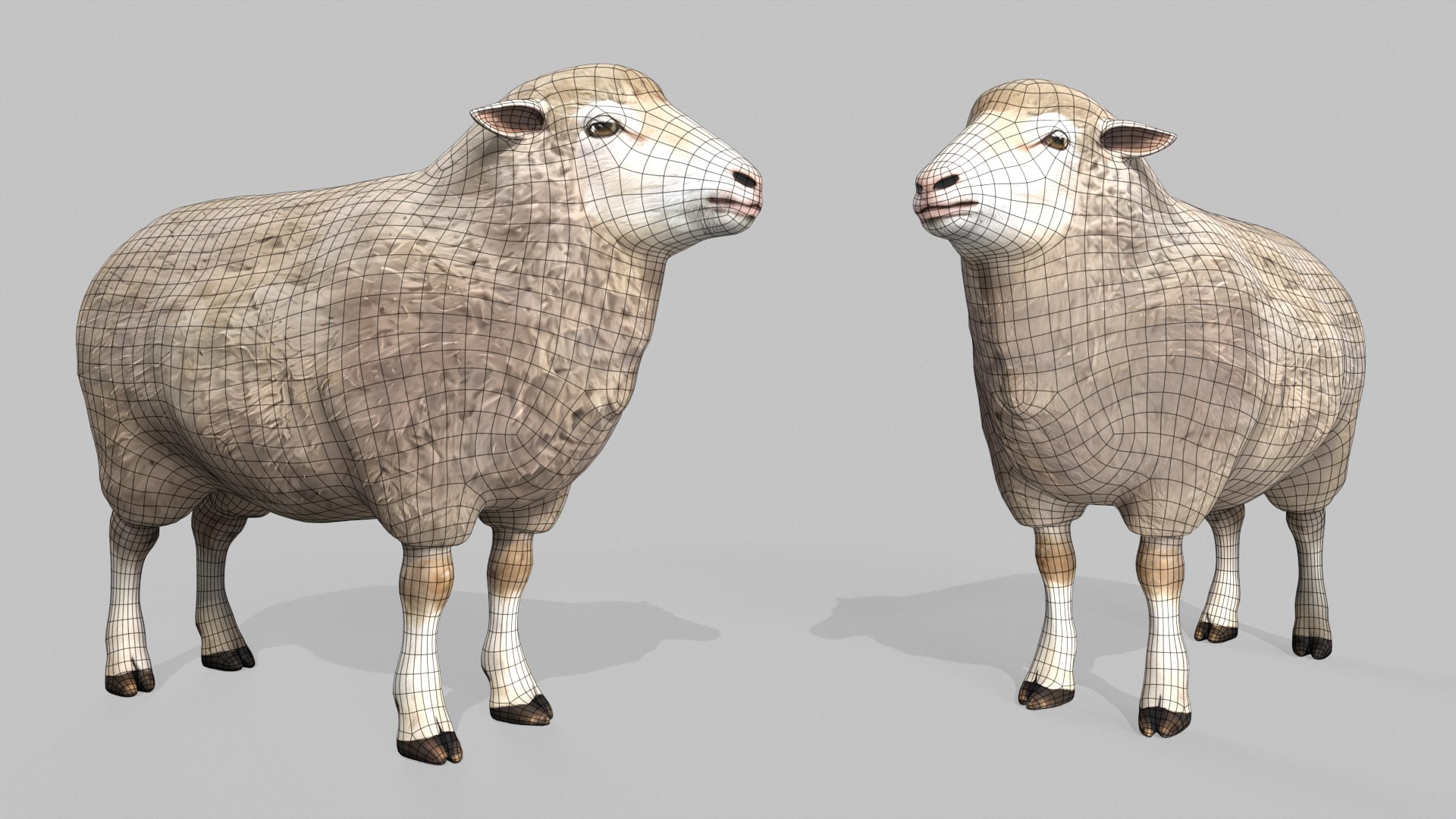 3D Realistic Sheep Rigged Game Ready Farm Animal PBR Textures Low-poly 3D model model https://p.turbosquid.com/ts-thumb/7f/BS6gw0/jL/wireframe2/png/1779413361/1920x1080/fit_q87/6a5076e84a1bc9f5ff842ee6c4d1dcb1a3da02fb/wireframe2.jpg