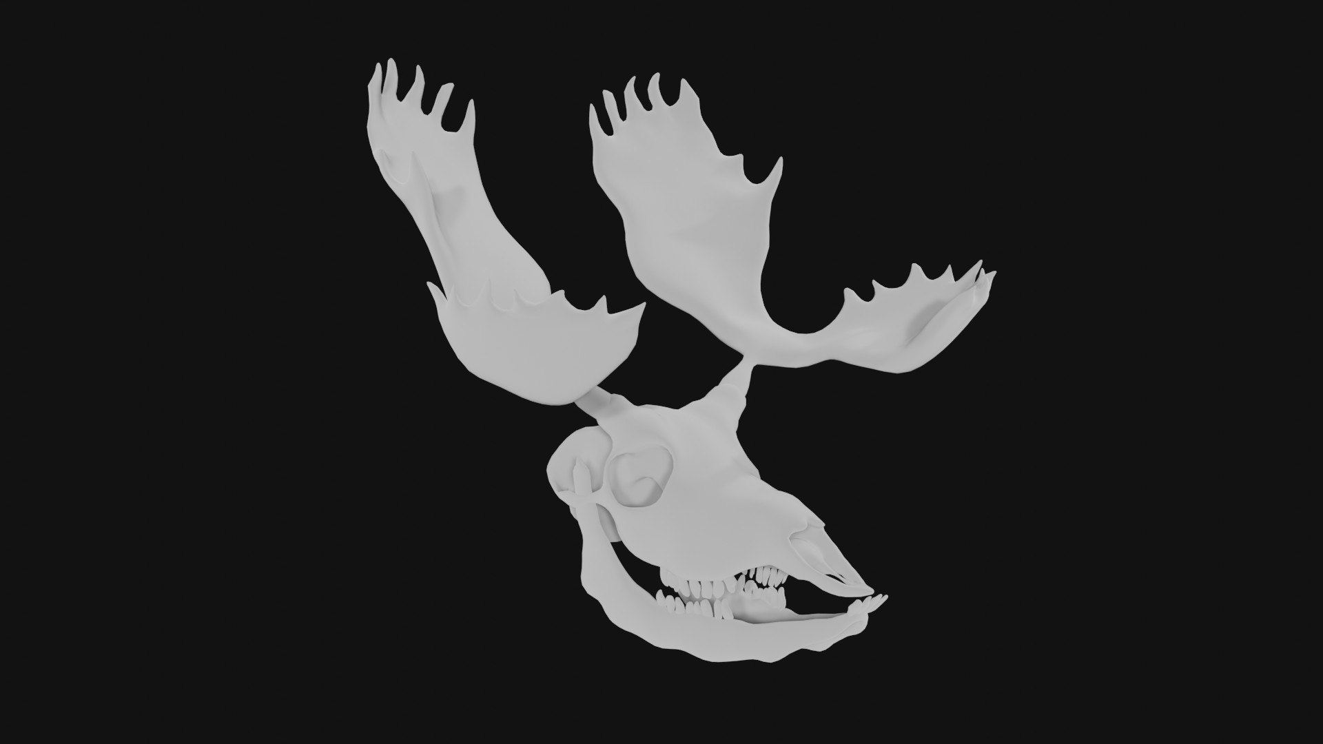 Moose Skull 3D Model - TurboSquid 1983386